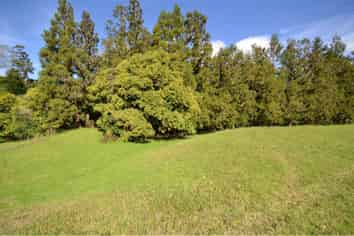 Lot 55/ Mandeno Drive, Kerikeri