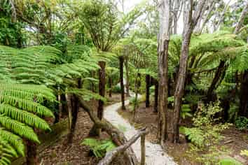 68 Manuka Road, Glenfield