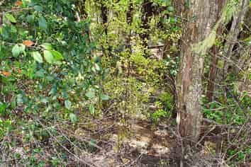 2B Lyon Street, Opua