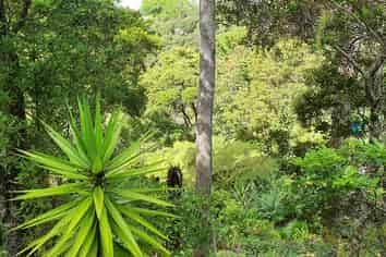 2B Lyon Street, Opua