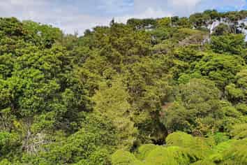 2B Lyon Street, Opua