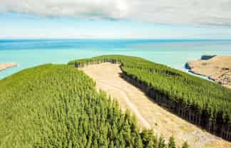 299 Robin Hood Bay Road,, Akaroa