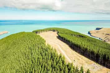 299 Robin Hood Bay Road,, Akaroa