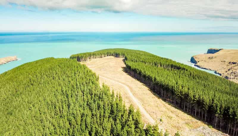 299 Robin Hood Bay Road,, Akaroa