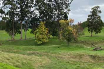 93 Stewart Road, Whakamarama