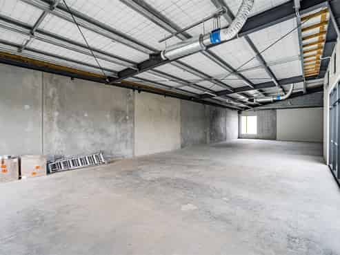 Let Your Imagination Go Wild