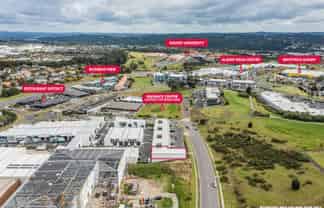 Let Your Imagination Go Wild