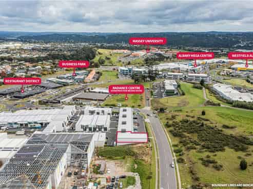 Let Your Imagination Go Wild