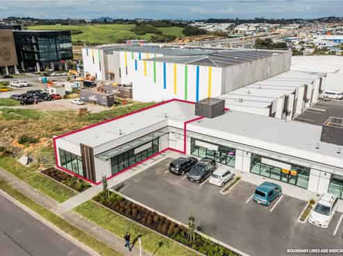 Let Your Imagination Go Wild