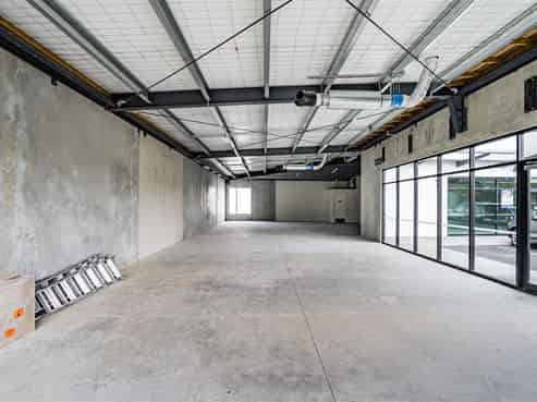 Let Your Imagination Go Wild