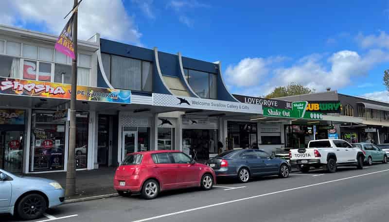 380 Grey Street, Hamilton East