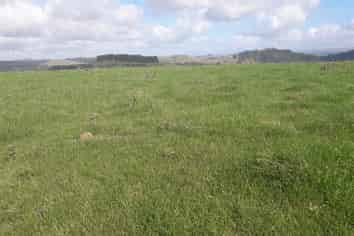 206 Tate Road, Te Kuiti