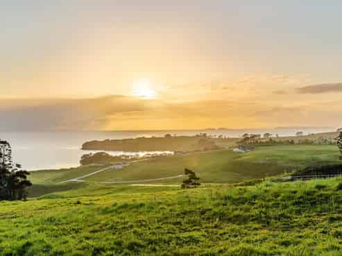 Auckland - Address withheld