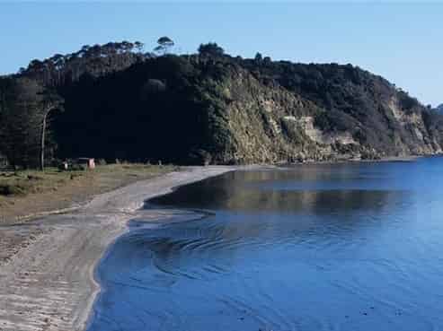 Auckland - Address withheld