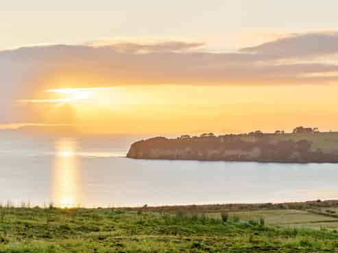 Auckland - Address withheld