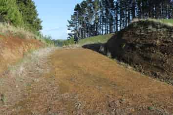 LOT4/110 Mangaotea Road, INGLEWOOD, New Plymouth Central