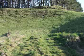 LOT4/110 Mangaotea Road, INGLEWOOD, New Plymouth Central