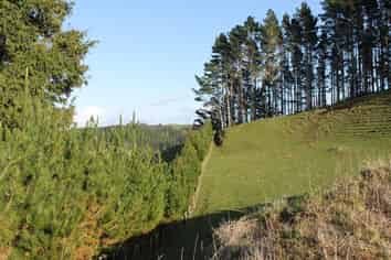 LOT4/110 Mangaotea Road, INGLEWOOD, New Plymouth Central