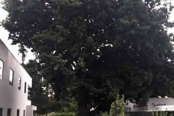 Offices - Plenty Parking - Burnside Tech Park