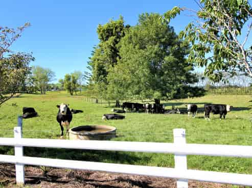 87 Maxwell Road, Maramarua