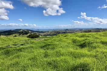 Lot 1 Brott Road, Kaipara Flats