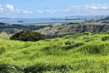 Lot 1 Brott Road, Kaipara Flats