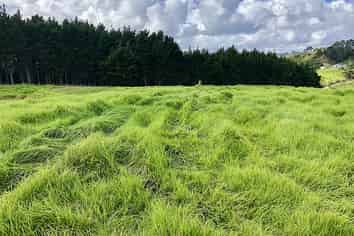 Lot 1 Brott Road, Kaipara Flats