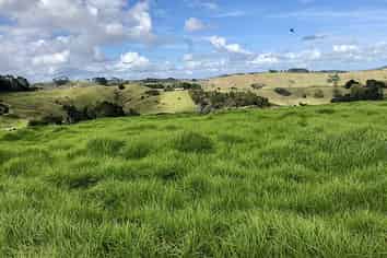 Lot 1 Brott Road, Kaipara Flats