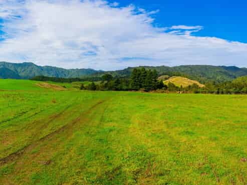 71 Poads Road, Levin