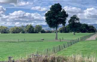 353 Awaiti Road , Paeroa