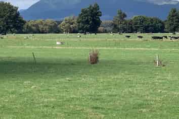 353 Awaiti Road , Paeroa