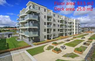 201/46 Apollo Sq. Apts., Rosedale Road, Albany