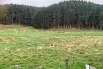 297 Hopelands Road, Woodville