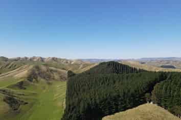 297 Hopelands Road, Woodville