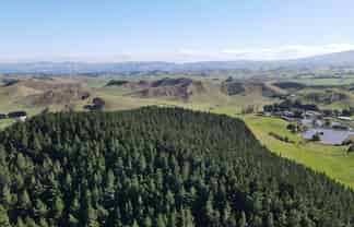 297 Hopelands Road, Woodville