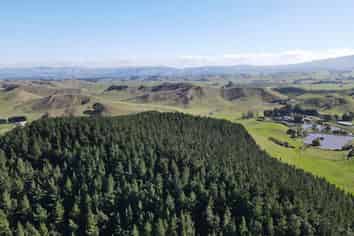 297 Hopelands Road, Woodville