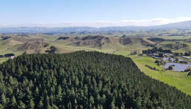 297 Hopelands Road, Woodville