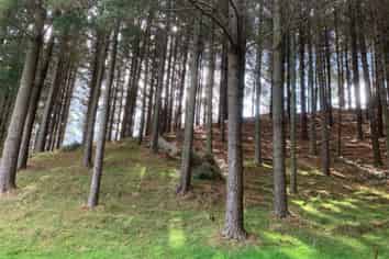 297 Hopelands Road, Woodville