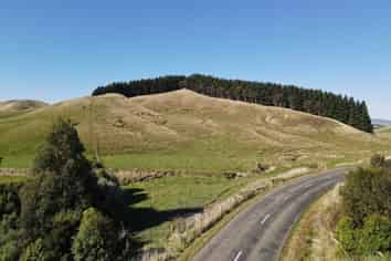 297 Hopelands Road, Woodville