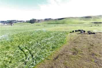 432 Flag Swamp Road, Waikouaiti