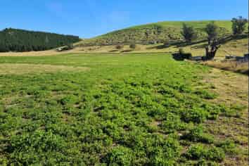  Pukeuri-Oamaru Road, Oamaru