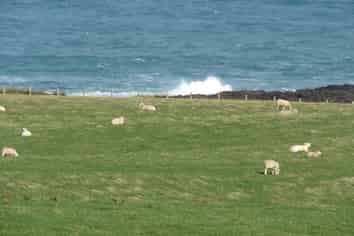 769 Slope Point Road, Wyndham Surrounds