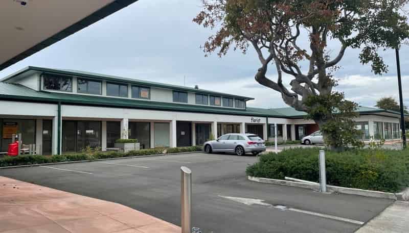 91 Milson Line, Palmerston North, Milson