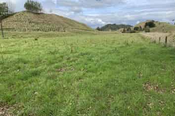 138 Quarry Road, Pohokura and Surrounds