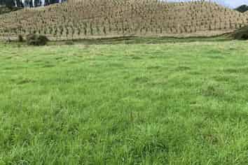 138 Quarry Road, Pohokura and Surrounds