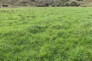 138 Quarry Road, Pohokura and Surrounds