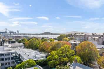 14 Balfour Road, Parnell