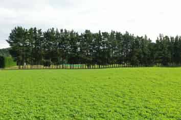 Sec 5 Short Road, Pahiatua