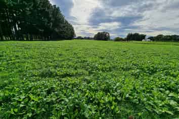 Sec 5 Short Road, Pahiatua