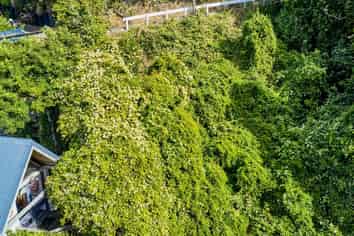 48 Orangi Kaupapa Road, Northland